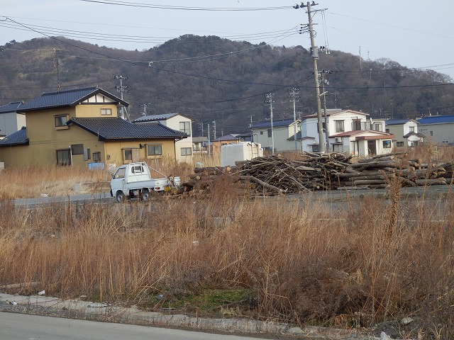 P2030026.jpg