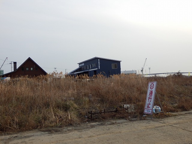 P2030027.jpg