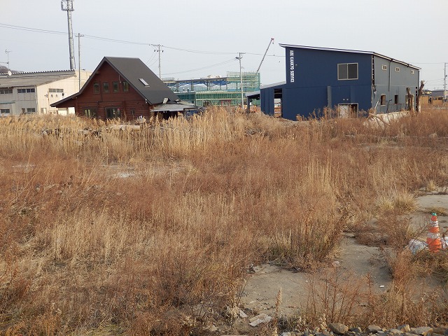 P2030031.jpg