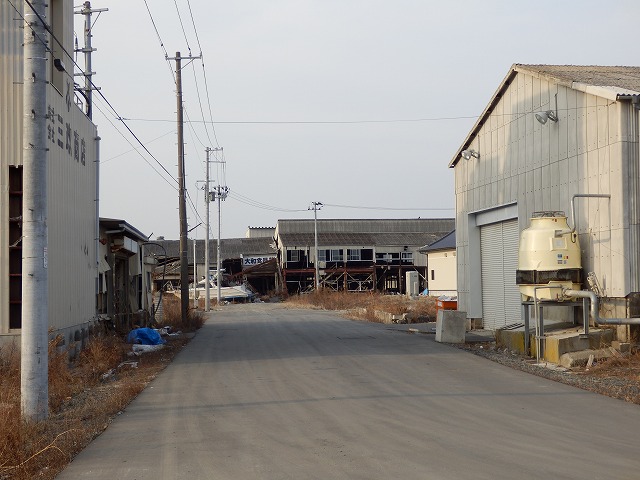 P2030036.jpg