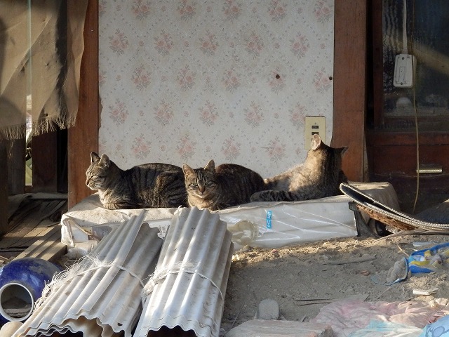 P2030041.jpg