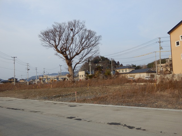 P2030061.jpg