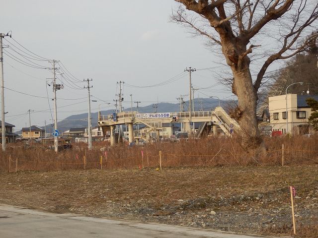 P2030062.jpg