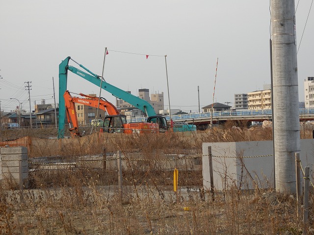 P2030064.jpg