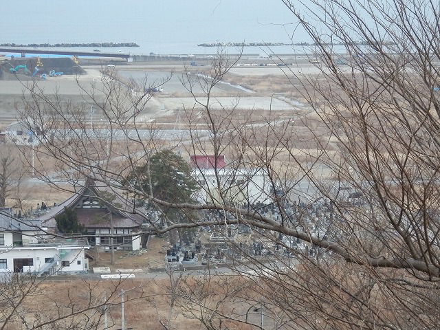 P2030125.jpg