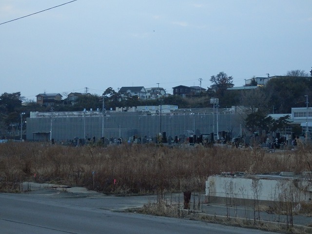 P2030156.jpg