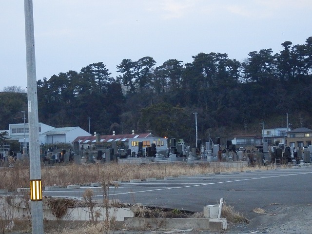 P2030157.jpg
