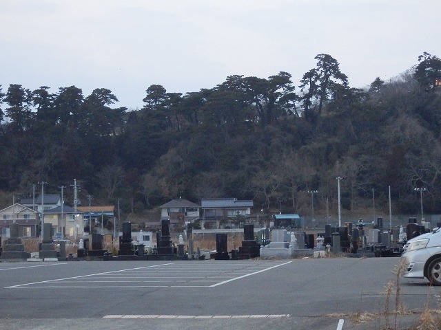 P2030158.jpg