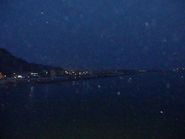 P2030160.jpg