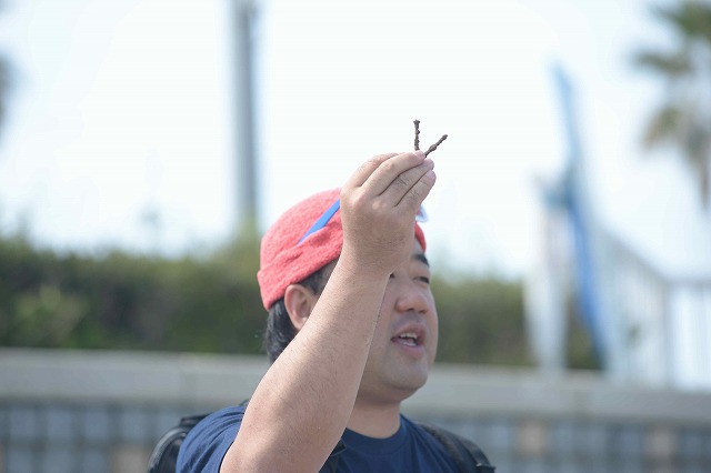 ACS_9053.jpg