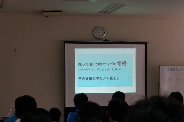 DSC05722.jpg