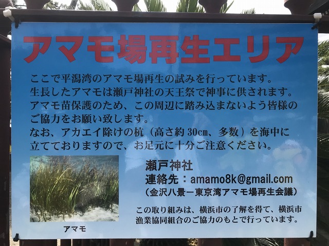 S__5251338.jpg