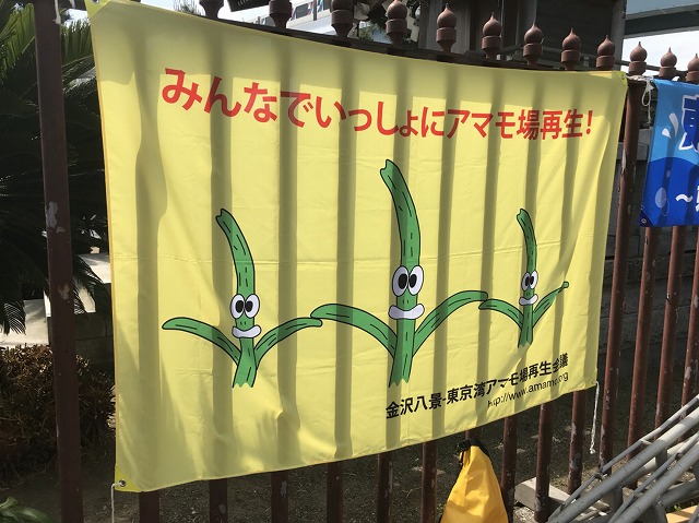 S__5251339.jpg