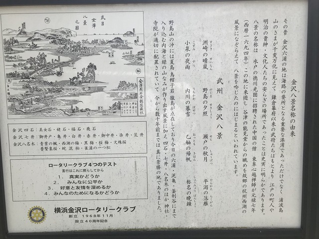 S__5251345.jpg