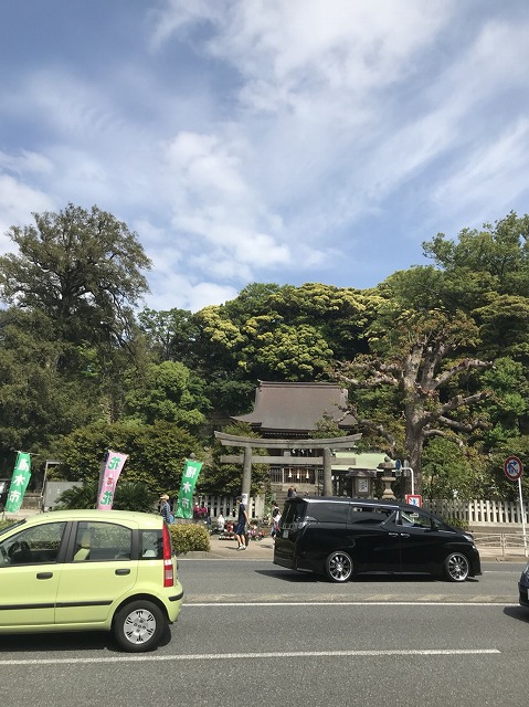 S__5251349.jpg