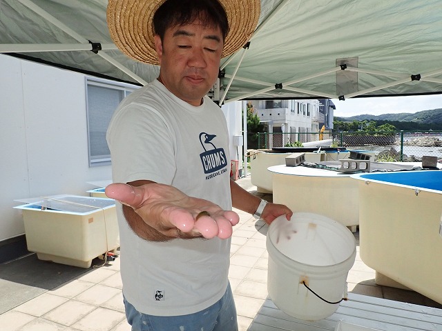 P7310453.jpg