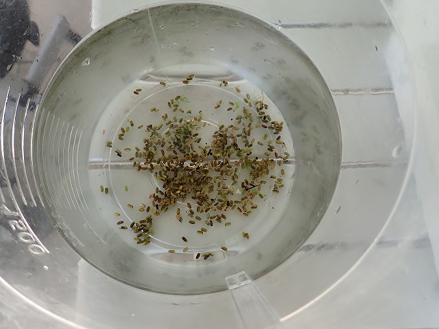 P7310484.jpg