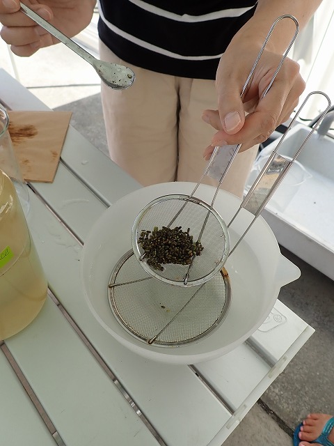 P7310517.jpg