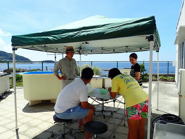 P7310521.jpg