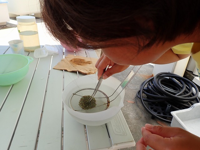 P7310523.jpg
