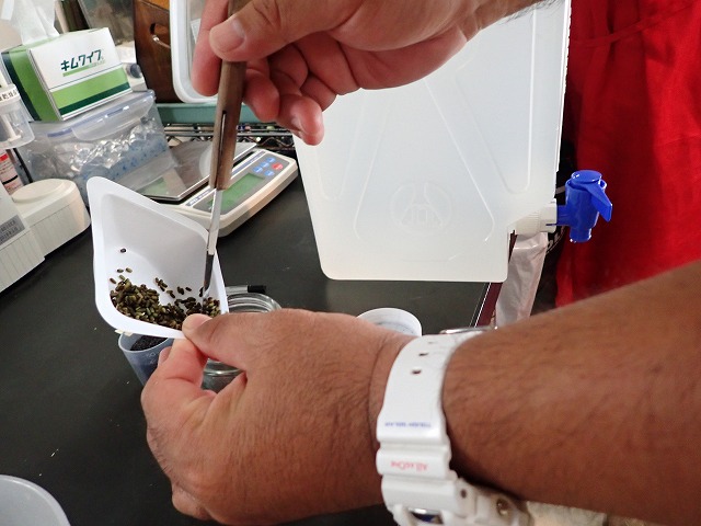 P7310544.jpg