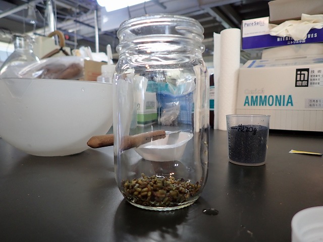 P7310550.jpg