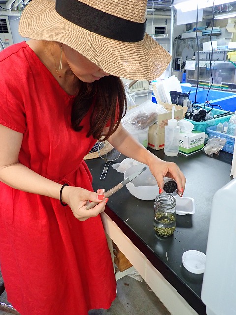 P7310554.jpg