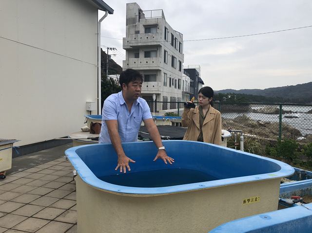 S__26255381.jpg