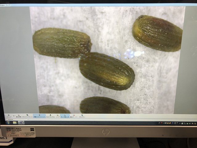 S__26255386.jpg