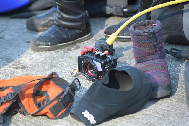 DSC_0523.jpg