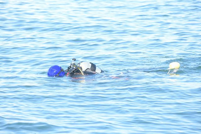 DSC_0547.jpg