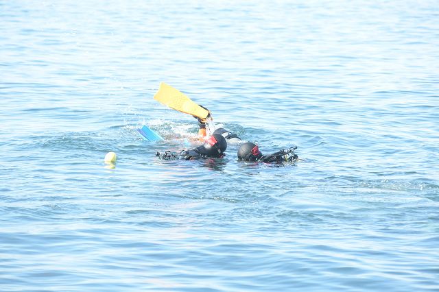 DSC_0551.jpg