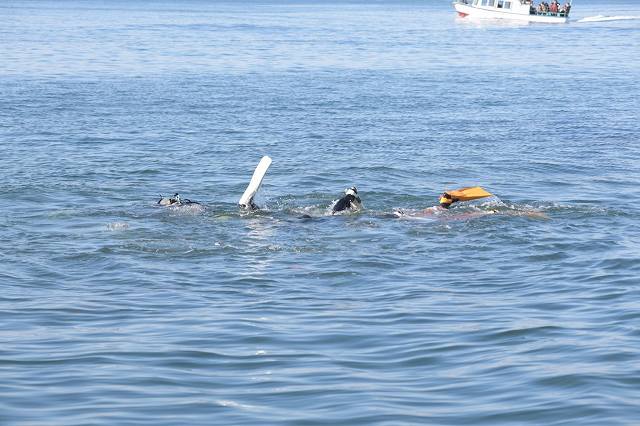 DSC_0563.jpg
