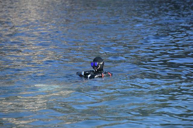 DSC_0603.jpg