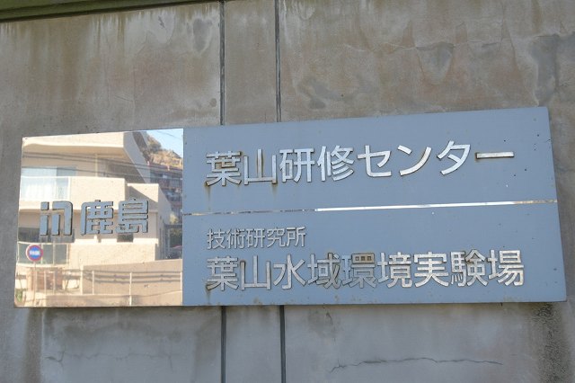 DSC_2907.jpg
