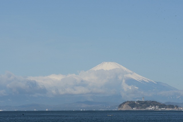 DSC_0532.jpg