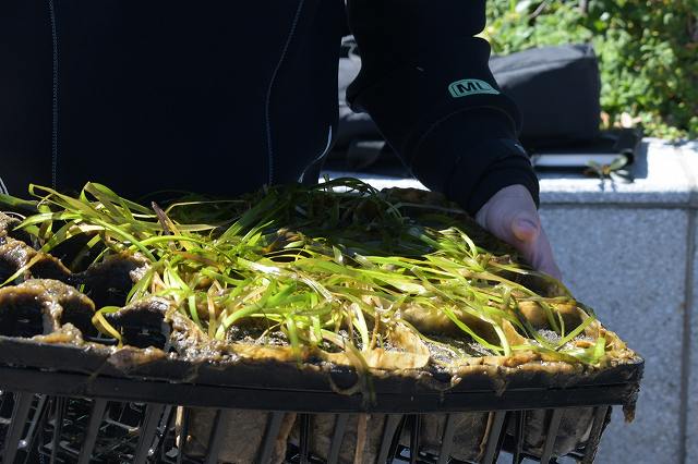DSC_0743.jpg