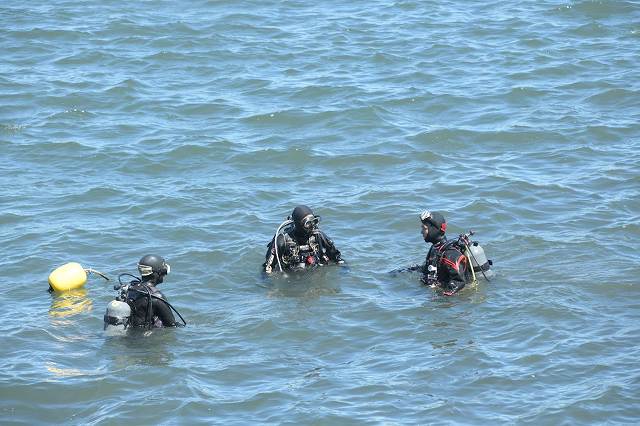 DSC_7333.jpg