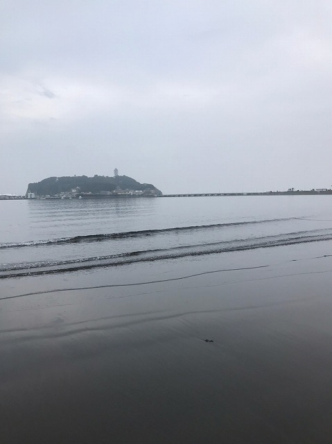 毎日ゴミ拾い725以降_200731_49.jpg