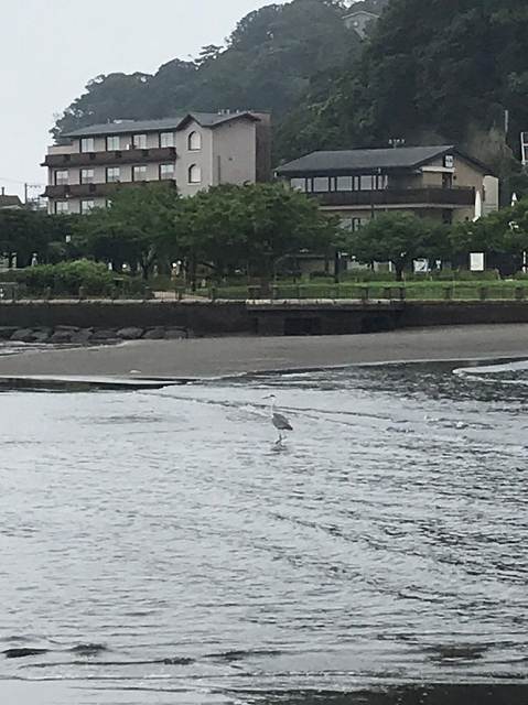 毎日ゴミ拾い725以降_200731_57.jpg