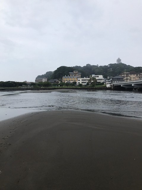 毎日ゴミ拾い725以降_200731_59.jpg