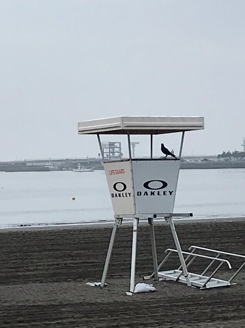 毎日ゴミ拾い725以降_200731_61.jpg