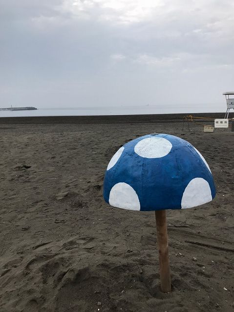 毎日ゴミ拾い725以降_200731_64.jpg