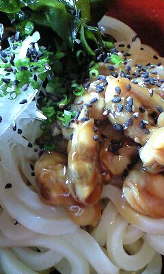 081012_1211~0002.jpg