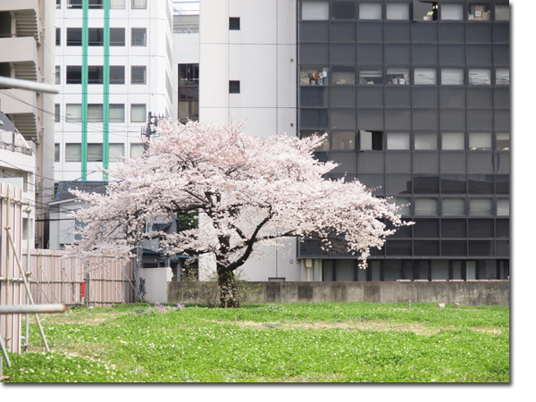街の中で