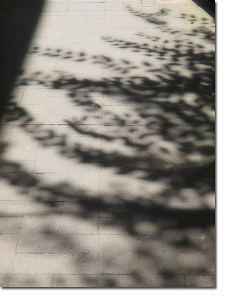 フォトセッション13