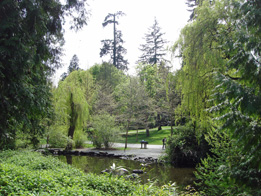 YVR
