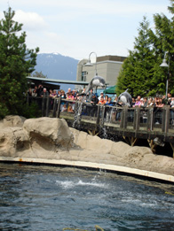 YVR