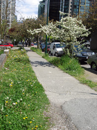 YVR