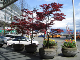 YVR